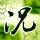广州为何要为早茶立法